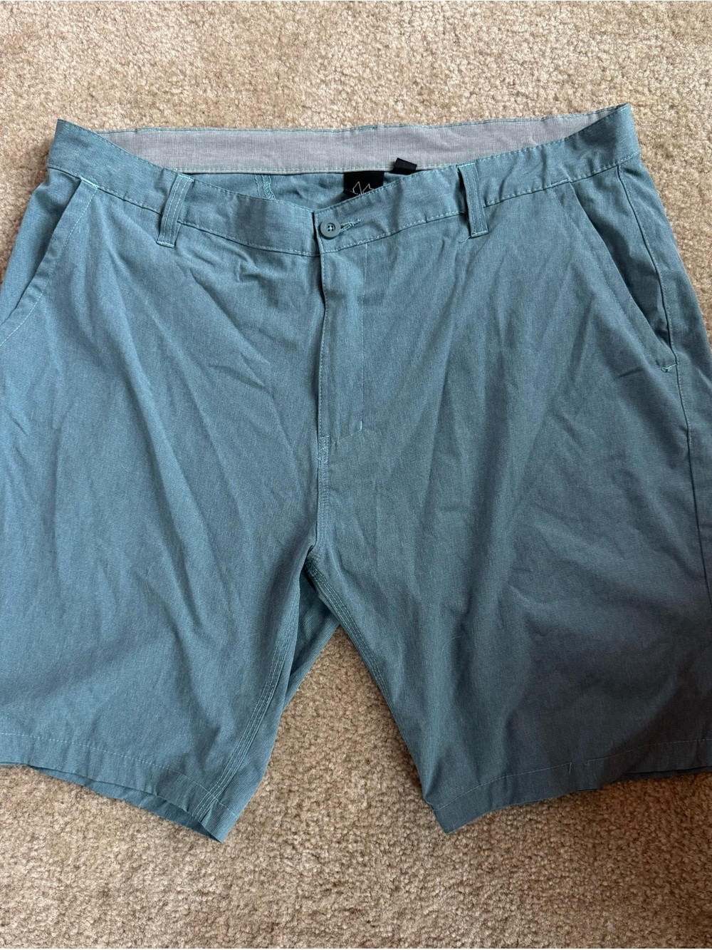 burnside Teal Flat-Front Men's Shorts